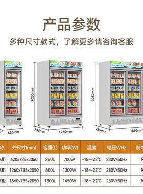 巴克大师冷冻展示柜商用急冻柜超市冷藏柜食品低温柜风冷立式冰柜