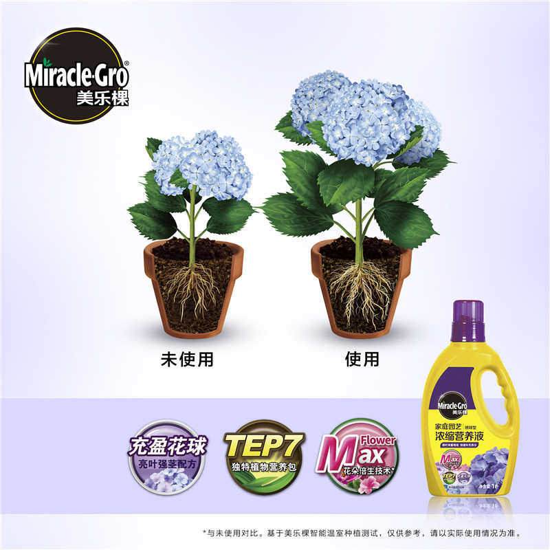 海蒂的花园 美乐棵家庭园艺肥料绣球型植物营养液浓缩液体肥1升装 - 图2