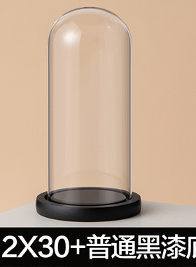 玻璃罩工艺品防尘罩永生装饰摆件