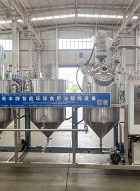 菜籽油精炼设备小型精炼机脱酸脱胶奇丰精炼机储油罐滤油机