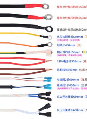 蒸汽机蒸发生器锅炉BWDZ本威脉冲点火器 24V控制器风压开关打火盒