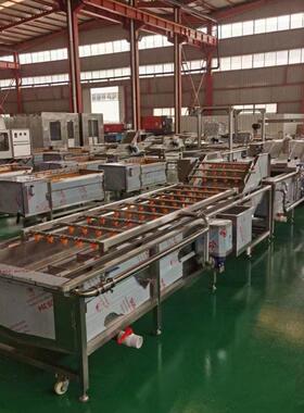 果蔬气泡清洗机 净菜加工生产线 速冻蔬菜预处理设备