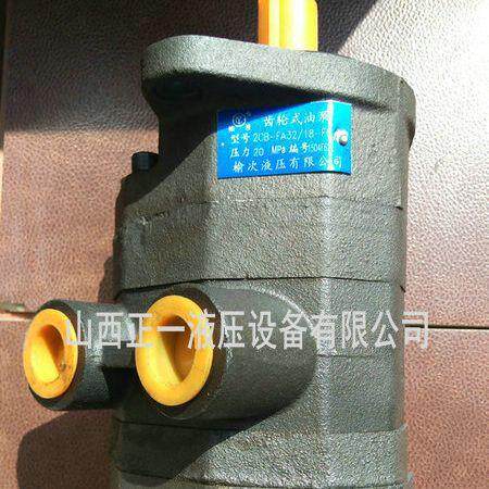 2CB-FA40/10双联齿轮泵中高压边双联齿轮泵双联铝合金齿轮泵 - 图2