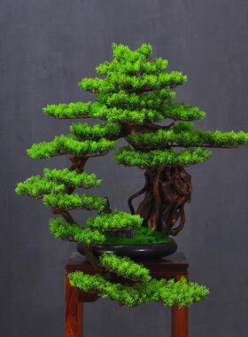 仿真迎松客松罗汉新中式松树树盆景楼处酒售MP00103店景观绿植假