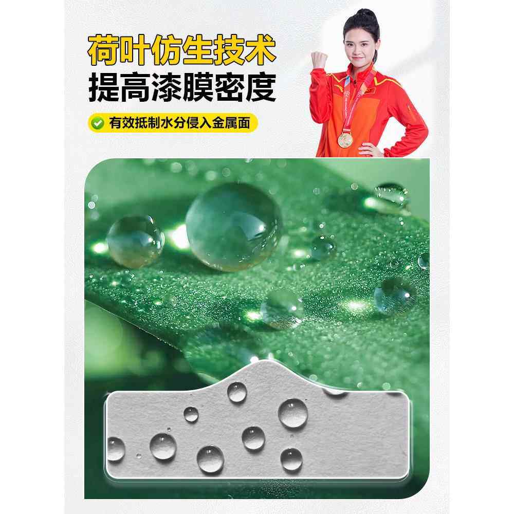 免打磨免除锈水性金属漆防锈防腐油漆铁锈转化剂家用自刷涂料黑色,淘宝优惠券,粉丝福利购,淘宝优惠卷