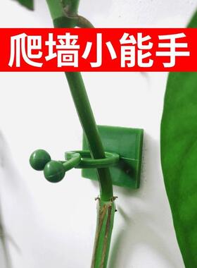 绿萝爬上神器爬墙上绿箩固定器绿植攀爬夹子墙上无痕挂钩粘爬藤夹
