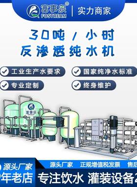 广东富事厂家供应全自动20吨每小时RO大型工业反渗透纯水处理机