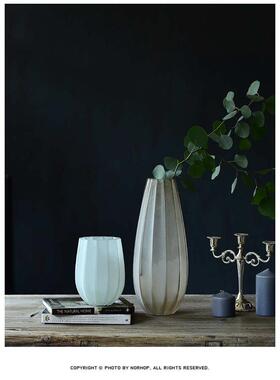 简约随水培萝花瓶玻璃绿欧式磨砂轩干花性碧磨砂花瓶容器