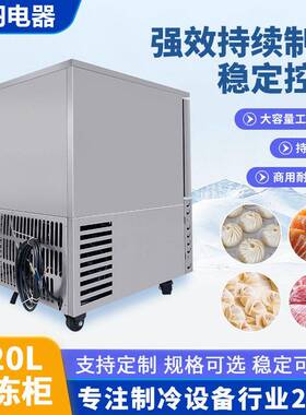 海鲜小型商用速冻柜-45度120L厂家直销供应智能温控效速冻机