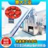 Fully automatic tomato steam peeling machine Cherry tomatoes general fruit and vegetable deep processing continuous intelligent peeling equipment