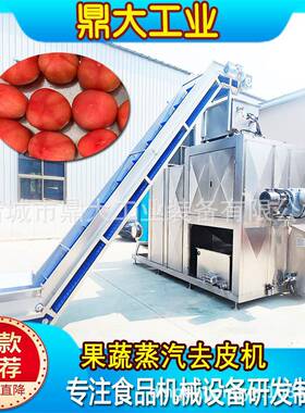 商用高压蒸汽去皮机圣女果去皮设备果蔬深加工智能降本去皮设备