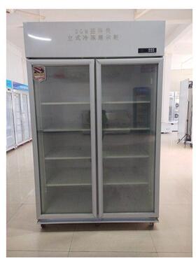 盛格美立式冷冻展示柜除雾玻璃门商用冷柜雪糕榴莲包点陈列冰柜