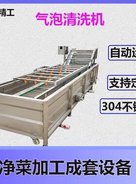 多功能果蔬气泡清洗机菠菜去泥沙鼓泡清洗设备大白菜气泡清洗机