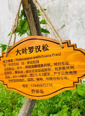 定制花草地牌树牌户外插地牌悬挂式标牌防腐实木质牌简介植物挂牌