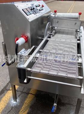 转盘式巧克力涂层机全自动冻干草莓裹涂设备米果巧克力淋涂机