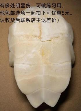 甲骨文龟壳雕刻天然真乌龟壳专用龟甲骨学生描绘涂色脱皮文教用品