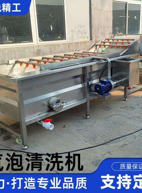 果蔬气泡清洗机辣椒叶菜水果蔬菜清洗设备柑橘压气泡清洗机