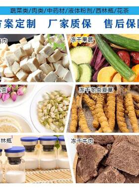 家用型真空冷冻干燥机水果茶叶宠物食品虫草小型冻干机设备厂家