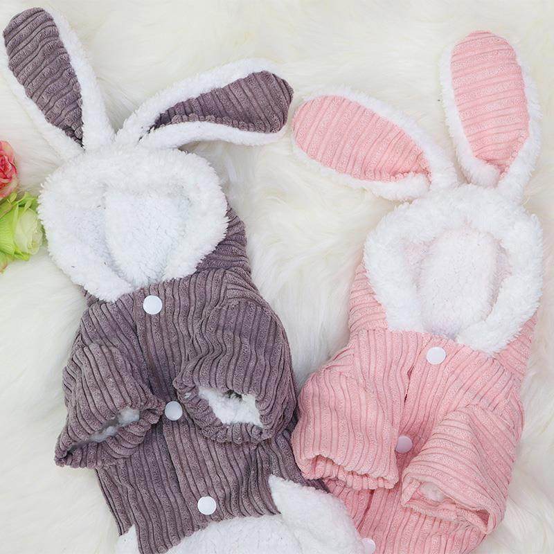 可爱猫咪衣服秋冬加绒保暖布偶英短金渐层宠物加厚防掉毛兔子装,淘宝优惠券,粉丝福利购,淘宝优惠卷