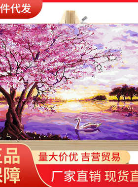 V45Odiy数字油画手工填色数码家居装饰人物花卉风景学生水彩照片