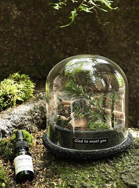 扩香石香薰小众植物摆件天然矿石水晶石扩香器无火香氛生日礼物