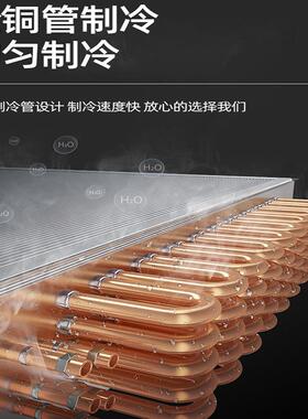 六门冷柜酒店食堂双温冰箱冷藏冷冻厨房展示柜不锈钢立式冰柜