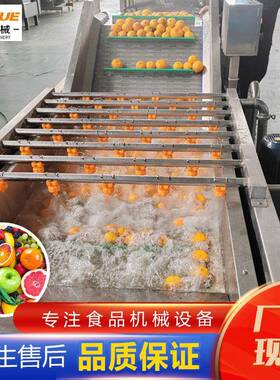 橙子清洗打蜡机桃子李子芒果清洗分级流水线304不锈钢洗果机厂家