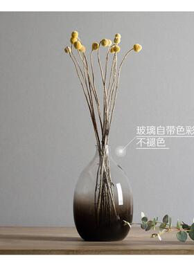 新款 手工吹制大肚子玻璃花瓶 玻璃淡彩渐变透明水培 创意细口插