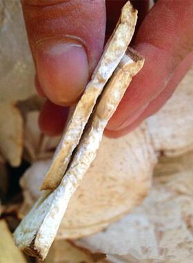 厂家出售电动切片机切丝机黄姜大蒜土豆荸荠切片机削片机