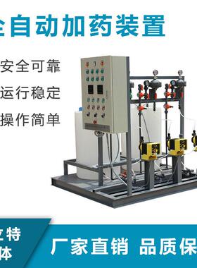 定制全自动干粉加装置絮凝剂加装置PAM制备加装置