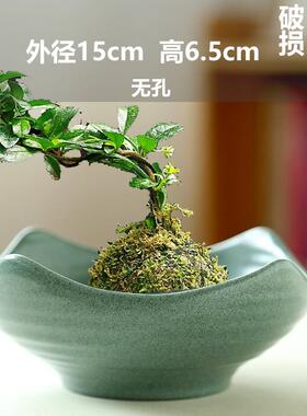 巴西木批发无孔水培花盆花盆花瓶