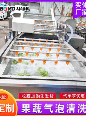 果厂家供应  不锈钢蔬清洗流水线苹果西红柿洗清设备 气泡清洗机