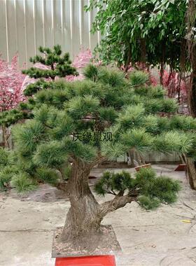 仿真松树玻璃钢假树落地造景商场酒店装饰绿植园林道具摆件