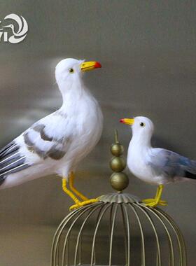 彷真海鸥模型真羽毛装饰褐翅燕鸥沙滩摄影道具湿地动物摆件工艺品