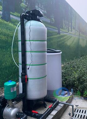 8吨软化水设备工地洗衣房全自动润新软化水阀除水垢水软水器