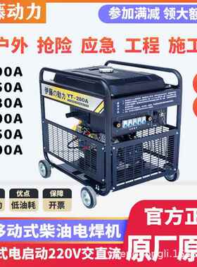 YT6800W/YT6800油EW-单相交流2220vPRK柴发电机电焊一E体机