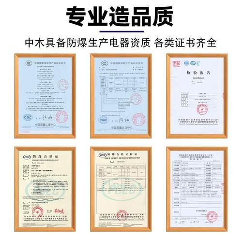 防爆正压柜PXK配电照明动力电源检修箱通风散热快软启动plc控制柜 - 图2