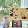Desktop hole board, table partition rack accessories desk office desk vertical clip storage hanger board without hole punching