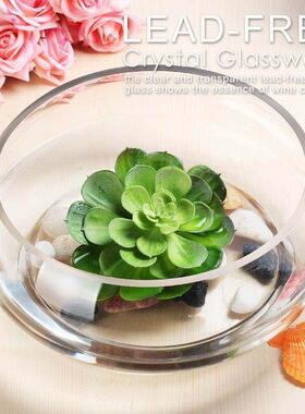 水养盆栽器皿创意水培插花玻璃花瓶绿植容器大口径大肚缸透明养花