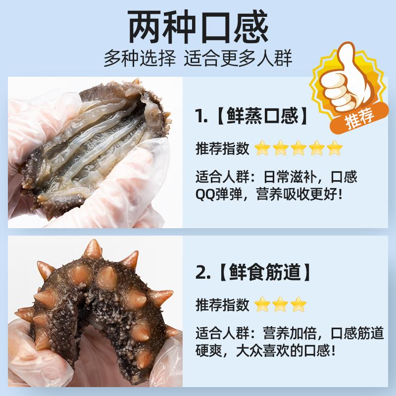 【无冰】海参即食大连野生海参辽参刺参海生海叁鲜食海参非淡干货 - 图2