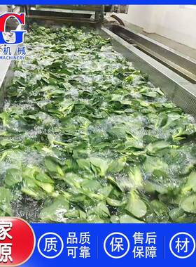 酱菜类蔬清洗脱机菜 商用大奥冠型清洗机陕西酱菜厂洗 盐菜用全套