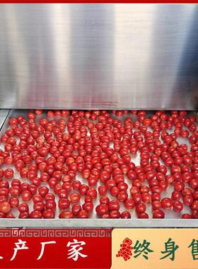 全自动蛋黄扎孔机冻干鹌鹑蛋扎眼宠物食品加工设备