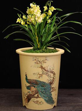 宜兴紫砂兰花盆贴花蝴蝶兰百合君子兰蕙兰春兰桌面圆形盆景盆