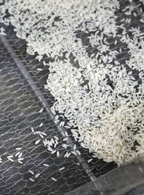 强化大米设备速食米饭设备自热大米机生产流水线 自热米饭膨化机