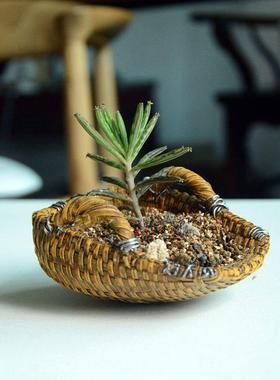 创意个性迷你小篮子树脂多肉花盆仿竹编壁挂藤编装饰品礼物圣诞节