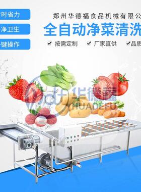 樱桃气泡清洗机果蔬去泥压喷淋清洗设备全自动叶菜清洗加工产线