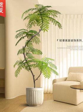 仿真绿植蓝花楹室内盆栽大型仿生植物假树轻奢客厅装饰品落地摆件