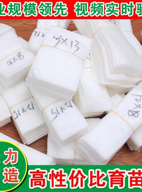 无纺布育苗批发降解容器热销花瓶