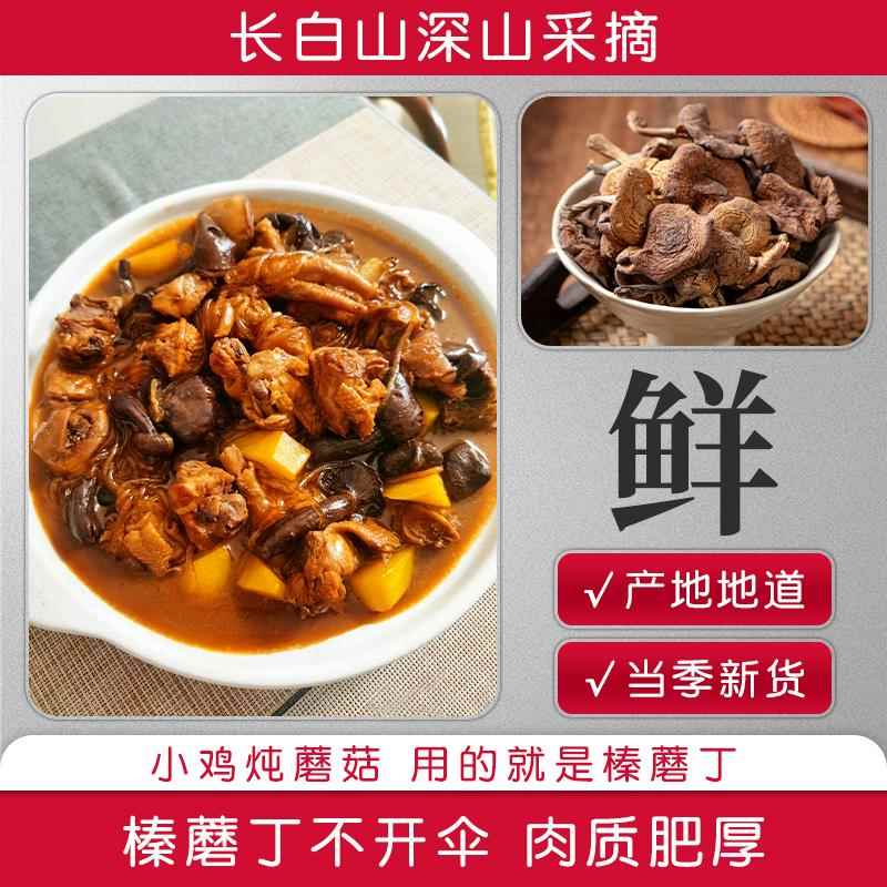 东北特产野生榛蘑丁干货500g小鸡炖蘑菇长白山臻蘑非特级新货无根