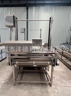 连续式果蔬气泡清洗机菜花木耳连续清洗机净菜深加工气泡清洗机